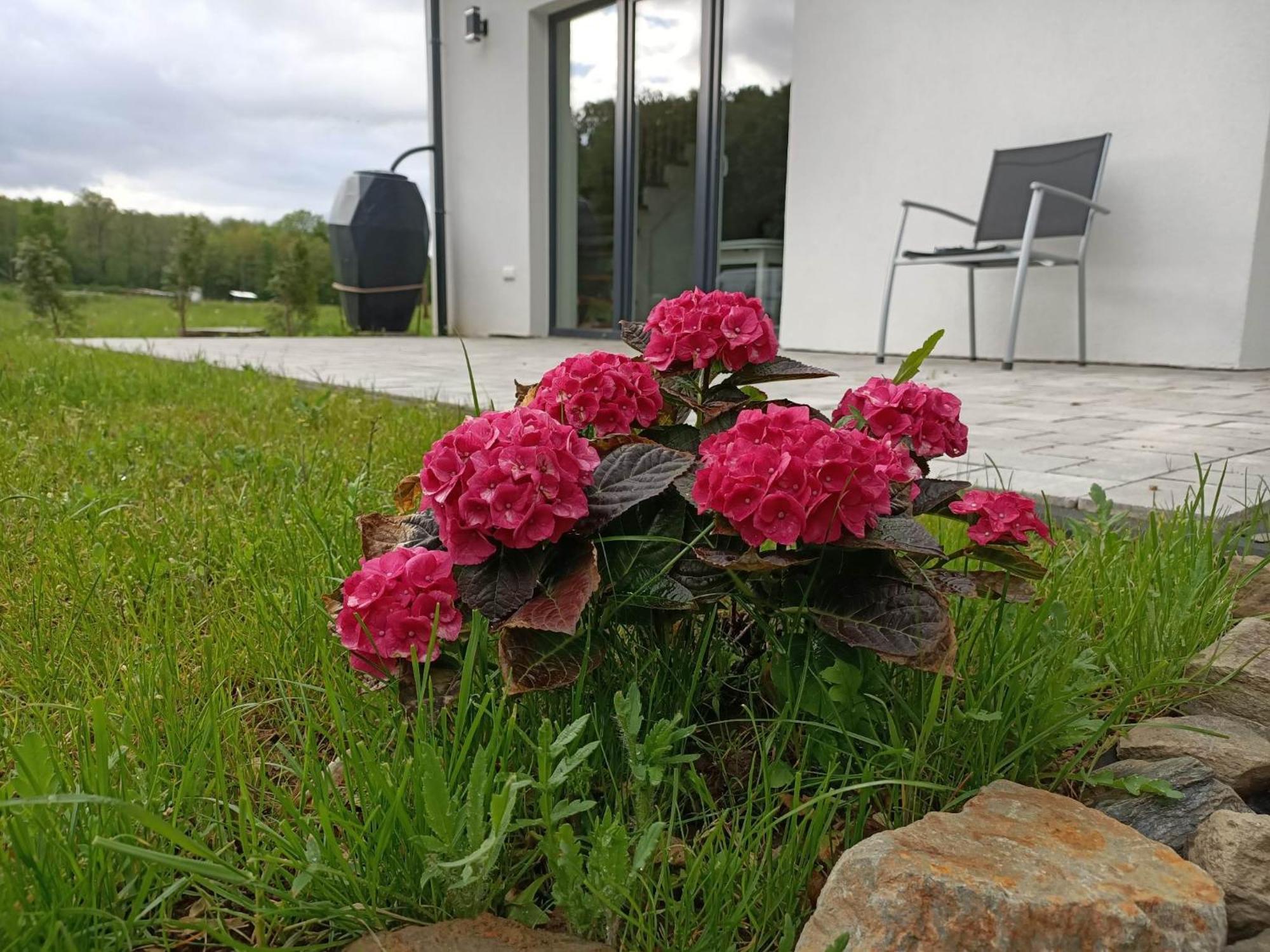 Przystanek Pokrzywna Villa Buitenkant foto